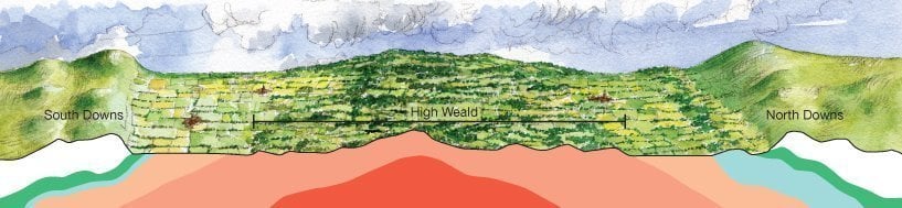 Illustration of cross section of High Weald geology