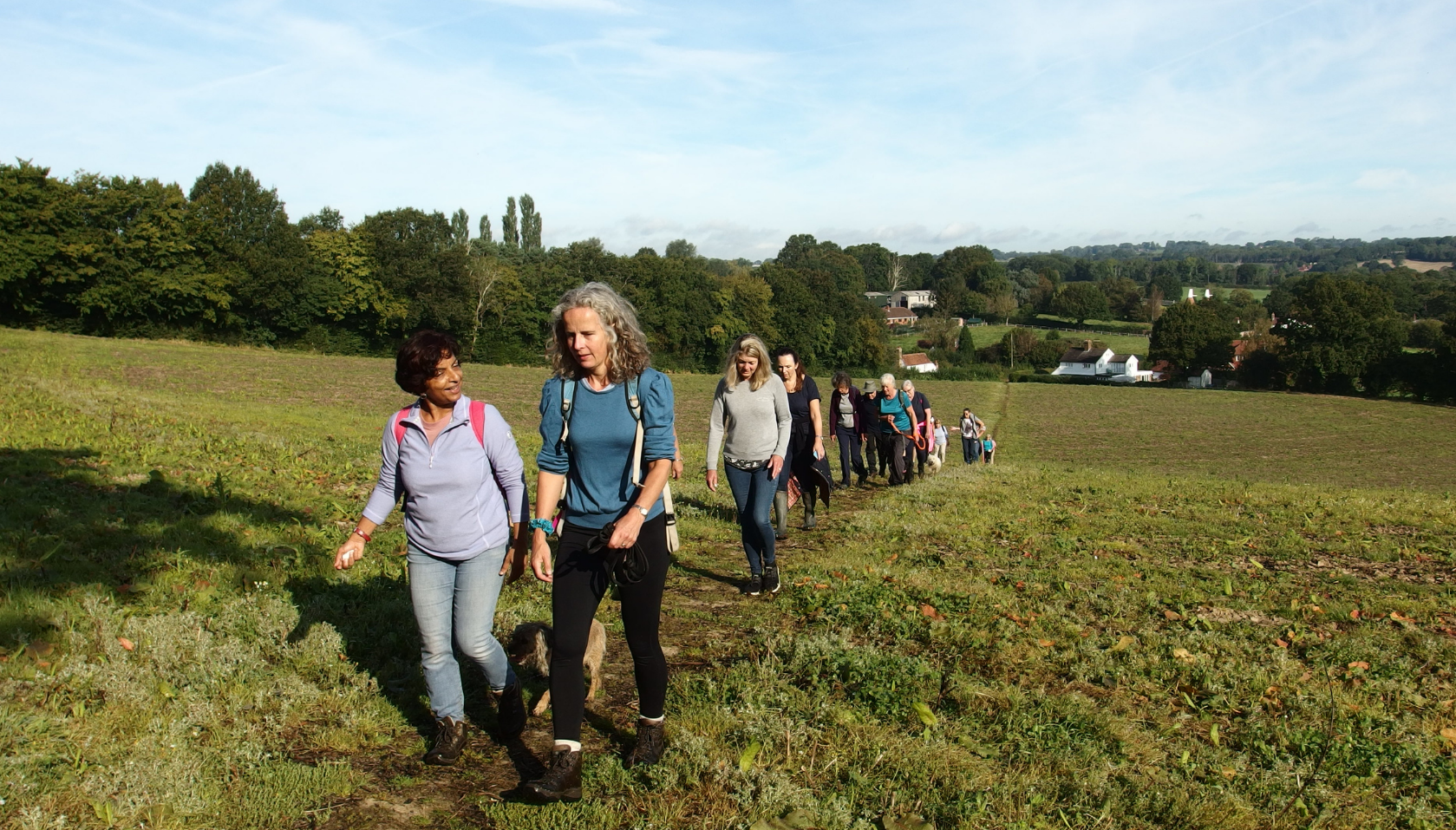 People walking in a line through a field with woodland and houses in distance. High Weald Walking Festival logo on left-hand side