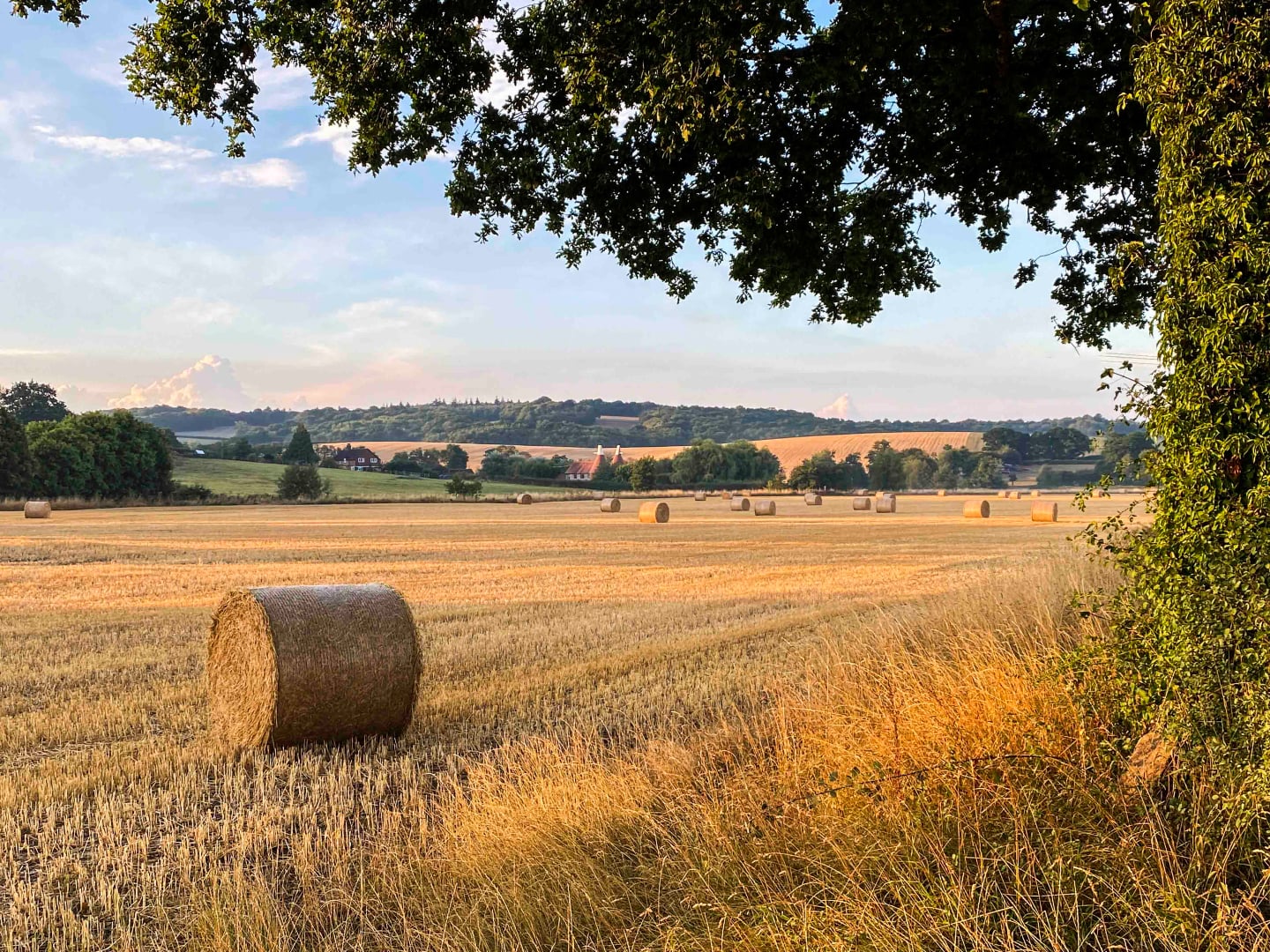 bale of hay in high weald